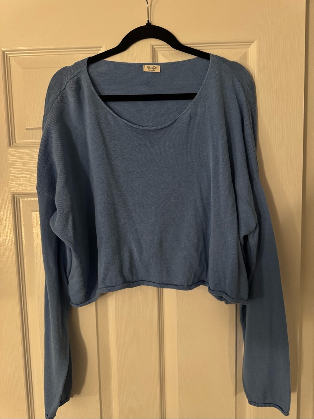 Brandy Melville Sky Blue Cropped Long-Sleeve Top
